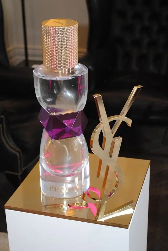YSL Manifesto in Health & Special Needs in Calgary - Image 4