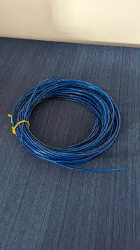 Approximately 100 feet of blue plastic 1/16in cord