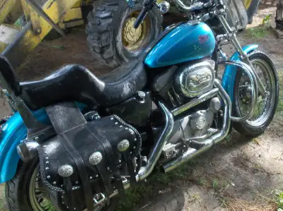 This beauty has many options, windscreen, crash bars and saddlebags. Locking gas caps on custom tank...