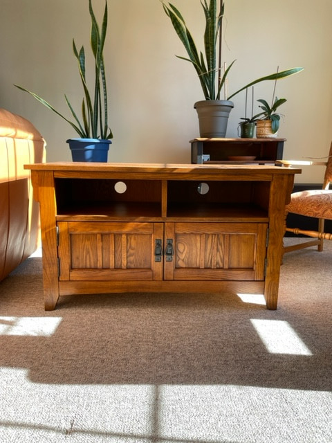 Solid Oak TV Stand in TV Tables & Entertainment Units in Belleville