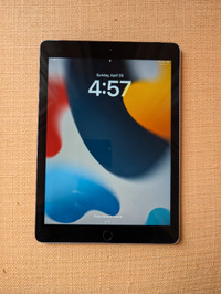 iPad 6th Generation - 32GB - WiFi + Cellular