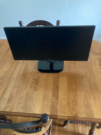 25 inch Monitor ( 21:9 UltraWide FHD IPS Monitor 25UM58)