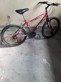 24 " mountain bike (sportek) fixed price