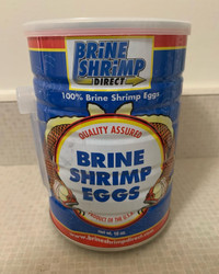 Brine shrimp eggs.