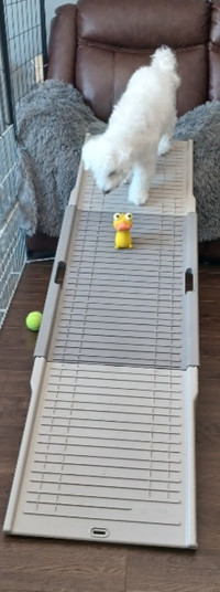 Brand New Dog Ramp For Sale!!