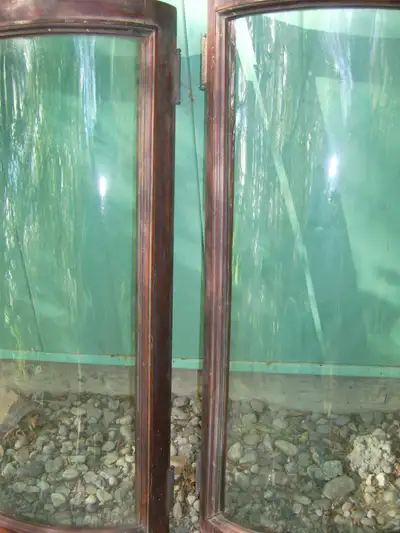 Pair antique [1920s] curved glass cabinet doors, View more
