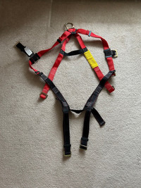 Safety Harness and Dual Lanyard