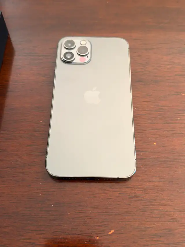 iPhone 12 Pro / Graphite / 256GB575594699739648002