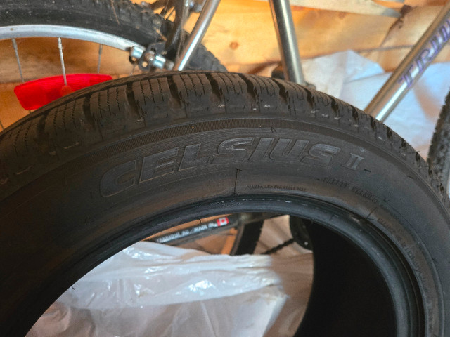 205/55R16 Toyo Celcius 2 All Season Tires in Tires & Rims in Ottawa - Image 3
