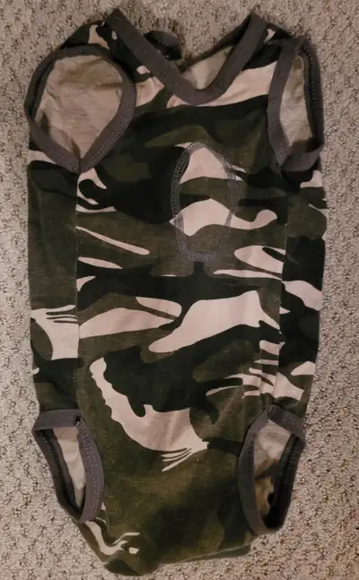 Dog Accessories, View more