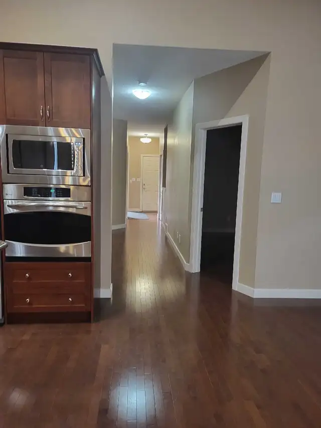 Professional Painter511269286068234241