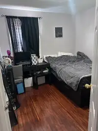 Room for rent in mimico