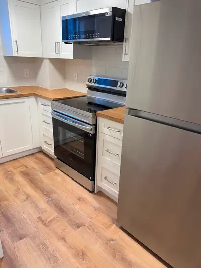 Newly renovated lower level 2 bedroom apartment including new fridge, new microwave, new stove, new...
