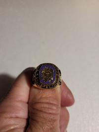 NBA Toronto Raptors Ring