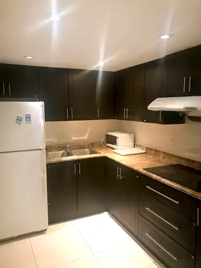 Bright, Renovated Basement Room with Parking