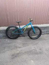 **Size Small Norco Bigfoot**