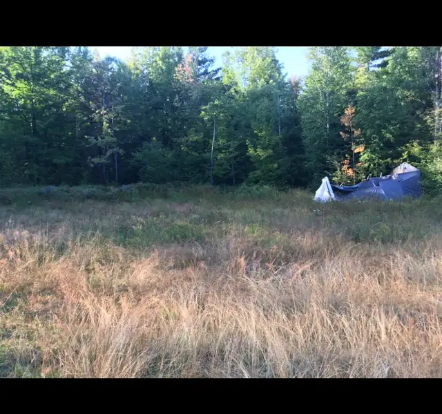 100 acres for  sale  previously Hunt camp in calvin  Township.
