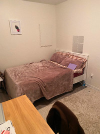 1 Room for Rent