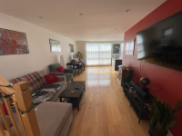 Amazing sublet feb 24-march 9