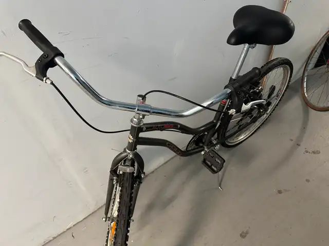 Raleigh Bicycle477289859441633287