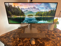 HP All-in-one envy 34” desktop. 