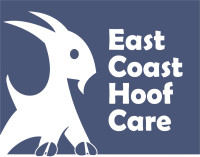 East Coast Hoof Care, in your area TOMORROW, Wed