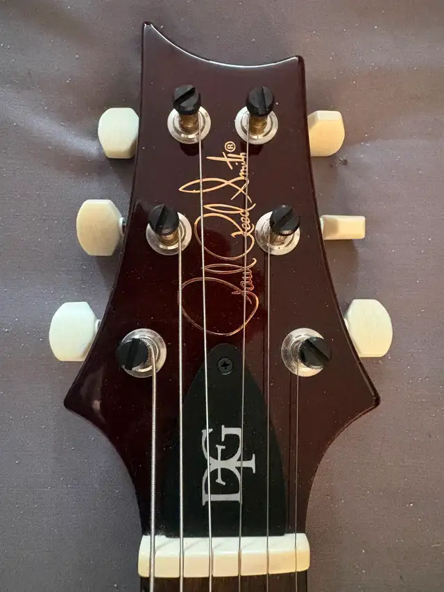 PRS 2020 DGT David Grissom Tremolo Core in Guitars in City of Toronto - Image 7