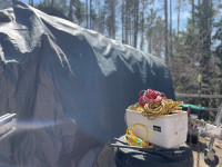 10’x20’ Shelter Logic Car Port / Storage