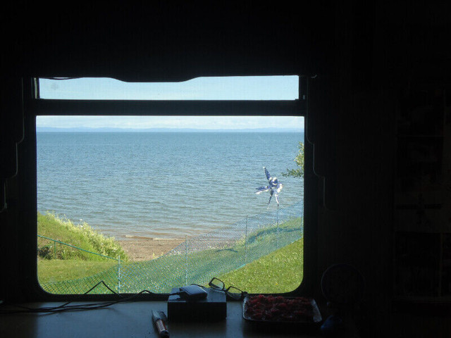 cottage in New Brunswick - Image 3