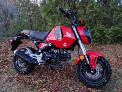Belle petite moto, facile à manœuvrer. Pneus Maxiss pour la trail. Vient avec les pneus originaux qu...