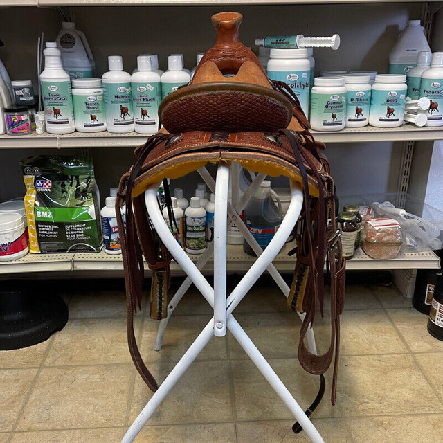 New 13" Cashel Wade Kid's Saddle in Equestrian & Livestock Accessories in St. Albert - Image 4