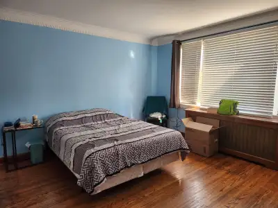 Large room at bathurst+bloor, 2 minutes from TTC + grocery