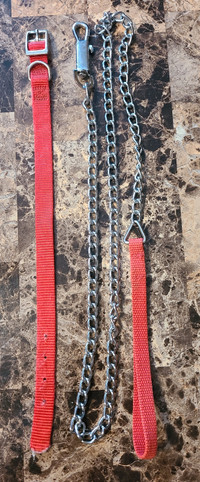 Chain Dog Leash and Collar 