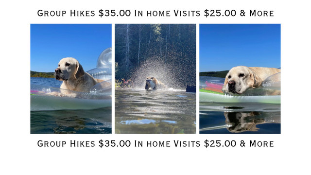 Group Hikes, In Home Visits, Poop Removal in Animal & Pet Services in Comox / Courtenay / Cumberland