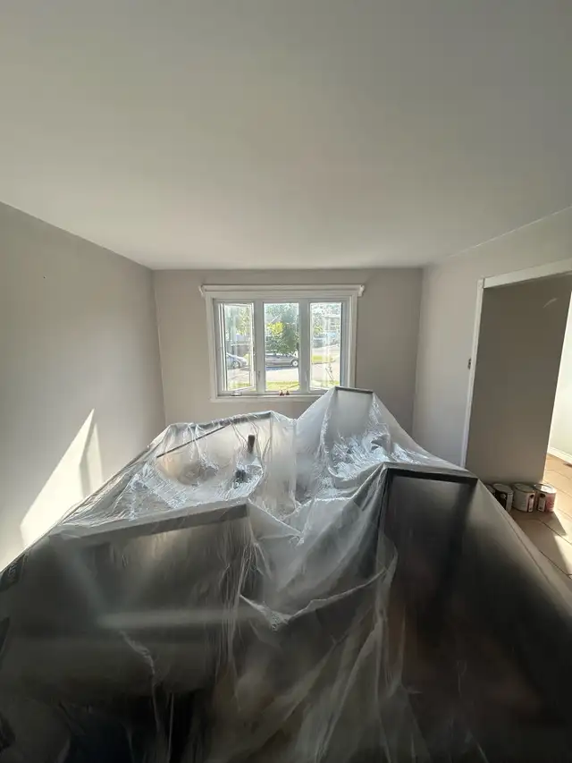 Handyman521679470467502087