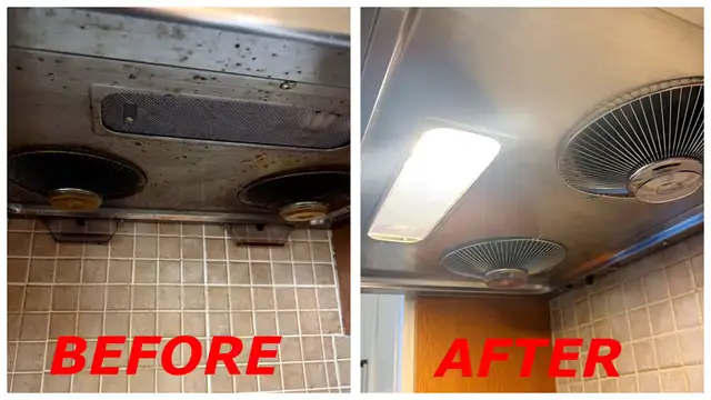 Professional Cleaner607293932653793286