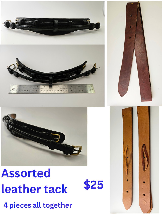 Horse tack: curb straps, boot pulls, etc. in Equestrian & Livestock Accessories in Bridgewater - Image 3