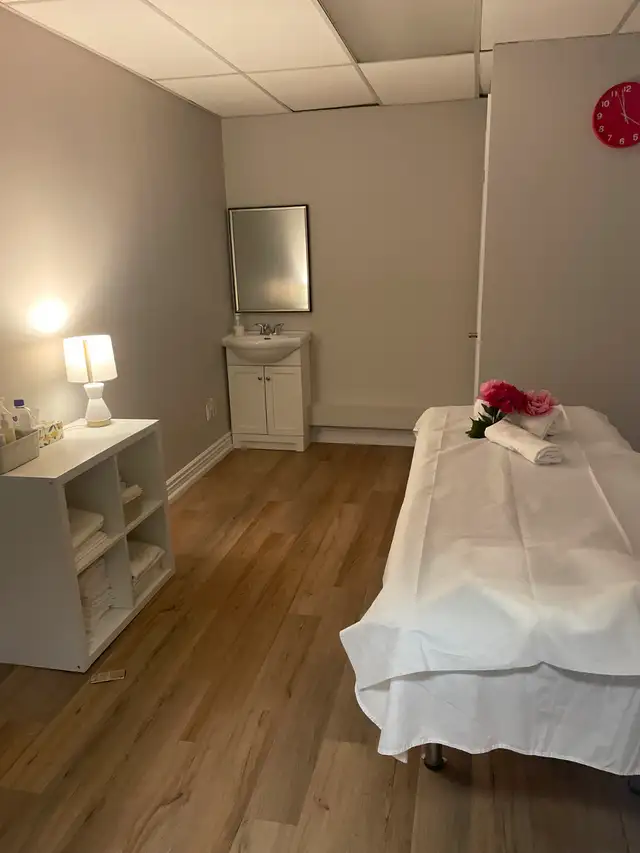 Excellent Massage - Mainway Burlington in Massage Services in Oakville / Halton Region - Image 4