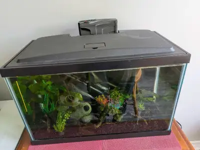 Aquarium, stand and accessories, View more