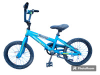 Norco Gwaii Haanas EGAblaster XR14 bike for kids