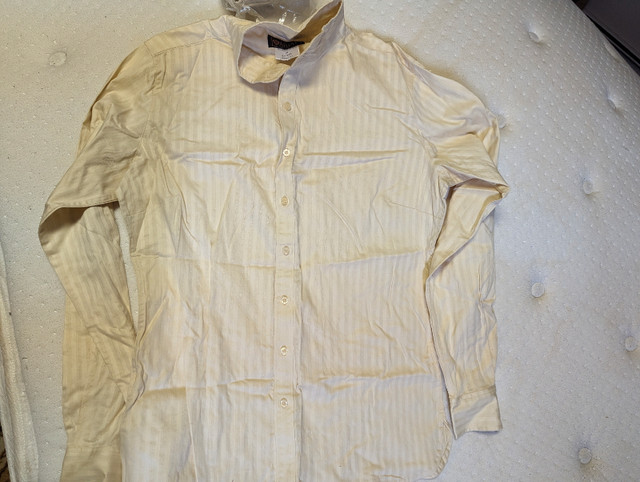 Ariat Victory Long Sleeve Show Shirt  dans Accessoires pour bétails et chevaux  à Vernon - Image 3