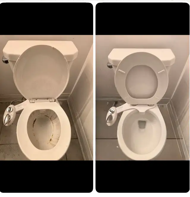 Professional cleaning65203779588610121