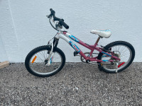 20 Inch Childs 5 Speed Bike (Fort Erie)