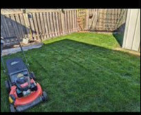 Grass cutter service 