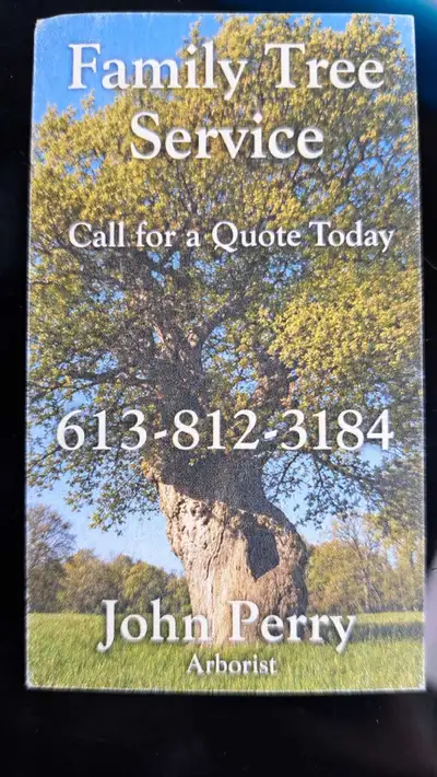 Tree removal and all phases of tree maintenance, View more