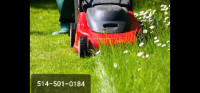 ⭐Lawn - grass cutting Best price⭐