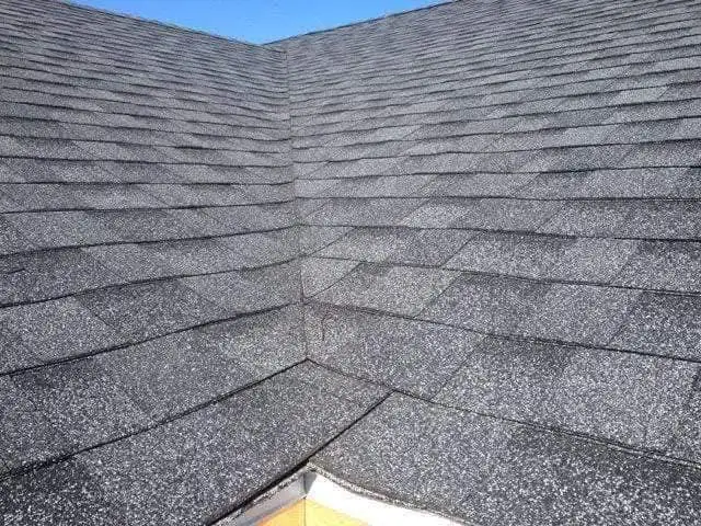 Professional Roofing62864357640321121