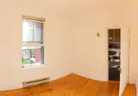 JULY 1st - Nice 4 and 1/2 - ROOMMATE PLATEAU LONGTERM (1 + cat)
