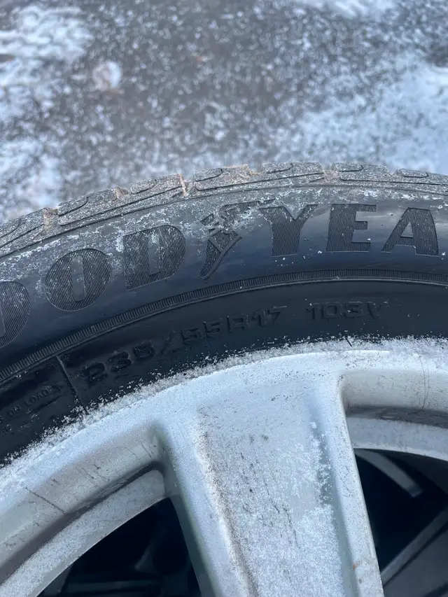 17 inch Winter tires/rims in Tires & Rims in Truro - Image 4