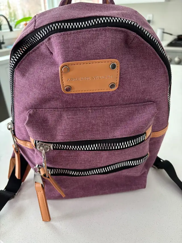 Cute Adrienne Vittadini Backpack